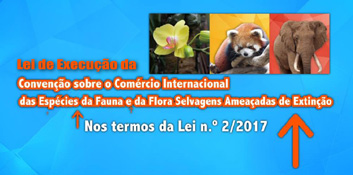 Enforcement Law of the Convention on International Trade in Endangered Species of Wild Fauna and Flora – Publicity Video 2