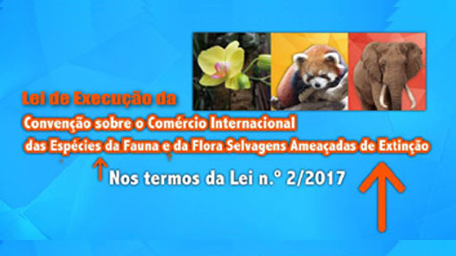 Lei de Execução da Convenção sobre o Comércio Internacional das Espécies da Fauna e da Flora Selvagens Ameaçadas de Extinção - Vídeo da Promoção 2